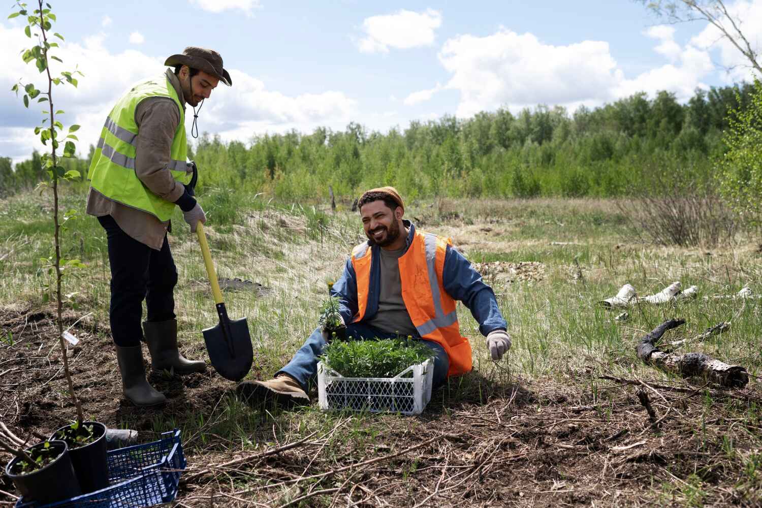 Best Arborist Services Near Me  in Columbia Heights, MN